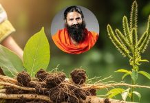 Natural remedy for tooth pain। दांत दर्द का घरेलू उपाय