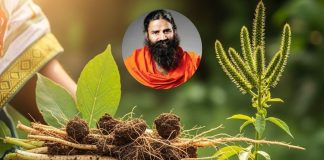 Natural remedy for tooth pain। दांत दर्द का घरेलू उपाय