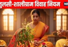 Tulsi Vivah 2025 Rules and rituals at home | ghar par Tulsi Vivah ke niyam | घर पर तुलसी विवाह के नियम