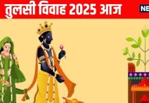 tulsi vivah 2025 today in Tripushkar Yog Know tulsi shaligram vivah ka muhurat and tulsi vivah vidhi | त्रिपुष्कर योग आज में आज तुलसी विवाह, जानें महत्व, विवाह का मुहूर्त, संपूर्ण विधि से करें पूजन मंत्र समेत और तुलसीजी की आरती