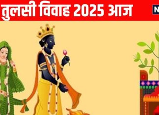 tulsi vivah 2025 today in Tripushkar Yog Know tulsi shaligram vivah ka muhurat and tulsi vivah vidhi | त्रिपुष्कर योग आज में आज तुलसी विवाह, जानें महत्व, विवाह का मुहूर्त, संपूर्ण विधि से करें पूजन मंत्र समेत और तुलसीजी की आरती