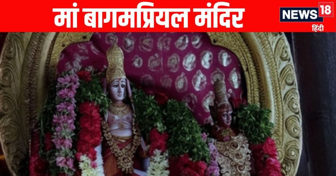 1000 हजार साल पुराने इस मंदिर में कैंसर से छुटकारा पाने आते हैं भक्त, भगवान विष्णु को भी यहीं से मिली थी महादेव के श्राप से मुक्ति