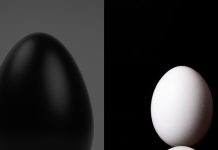 Black Vs White Egg Difference: कड़कनाथ अंडा बनाम सफेद अंडा जिम वालों के लिए कौन है ज्यादा फायदेमंद.