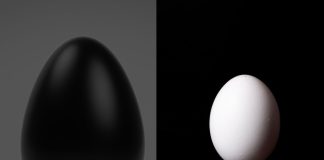Black Vs White Egg Difference: कड़कनाथ अंडा बनाम सफेद अंडा जिम वालों के लिए कौन है ज्यादा फायदेमंद.