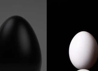 Black Vs White Egg Difference: कड़कनाथ अंडा बनाम सफेद अंडा जिम वालों के लिए कौन है ज्यादा फायदेमंद.