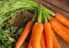 Carrot Benefits: सर्दियों में श्रद्धा कपूर खूब खाती हैं गाजर, शरीर को पहुंचाए ढेरों लाभ