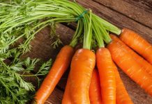 Carrot Benefits: सर्दियों में श्रद्धा कपूर खूब खाती हैं गाजर, शरीर को पहुंचाए ढेरों लाभ