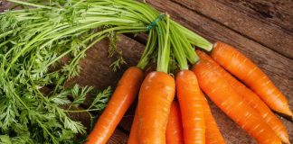 Carrot Benefits: सर्दियों में श्रद्धा कपूर खूब खाती हैं गाजर, शरीर को पहुंचाए ढेरों लाभ