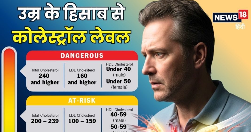 अगर मेरा कोलेस्ट्रॉल 270 है तो क्या होगा? उम्र के हिसाब से कितना होना चाहिए, जानिए इसे कंट्रोल करने का तरीका