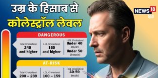 अगर मेरा कोलेस्ट्रॉल 270 है तो क्या होगा? उम्र के हिसाब से कितना होना चाहिए, जानिए इसे कंट्रोल करने का तरीका