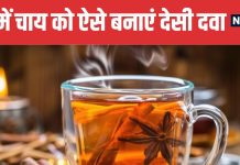 Cinnamon Tea Benefits Ayurvedic Secret for Health and Immunity | सर्दियों में सेहत के लिए वरदान है दालचीनी की चाय