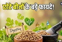 सेहत के लिए कुदरती तोहफा हैं ये छोटे बीज, तन और मन दोनों को रखते हैं संतुलित, जानिए इसके बड़े फायदे