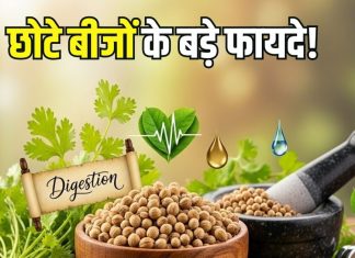 सेहत के लिए कुदरती तोहफा हैं ये छोटे बीज, तन और मन दोनों को रखते हैं संतुलित, जानिए इसके बड़े फायदे