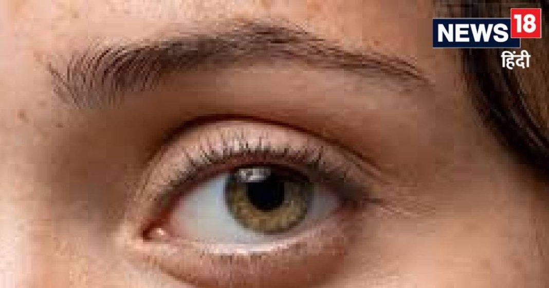 AI टूल से डायबिटिक रेटिनोपैथी की पहचान अब एम्स नई दिल्ली में संभव aiims delhi doctors make ai tool to detect diabetic retinopathy in minutes by taking photo of eyes