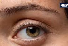 AI टूल से डायबिटिक रेटिनोपैथी की पहचान अब एम्स नई दिल्ली में संभव aiims delhi doctors make ai tool to detect diabetic retinopathy in minutes by taking photo of eyes