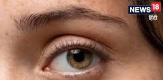 AI टूल से डायबिटिक रेटिनोपैथी की पहचान अब एम्स नई दिल्ली में संभव aiims delhi doctors make ai tool to detect diabetic retinopathy in minutes by taking photo of eyes