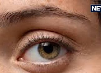 AI टूल से डायबिटिक रेटिनोपैथी की पहचान अब एम्स नई दिल्ली में संभव aiims delhi doctors make ai tool to detect diabetic retinopathy in minutes by taking photo of eyes