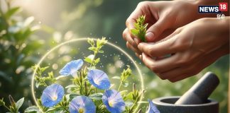 ये है तनाव दूर करने का सस्ता आयुर्वेदिक टॉनिक! सेवन करने से दिमाग को मिलेगी ठंडक, मन भी हमेशा रहेगा शांत