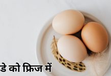 अंडे फ्रिज में रखें या बाहर? जानें सही तरीका और वैज्ञानिक कारण