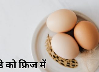 अंडे फ्रिज में रखें या बाहर? जानें सही तरीका और वैज्ञानिक कारण