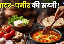 मटर के साथ नहीं… इस बार टमाटर के साथ बनाएं पनीर की सब्जी, स्वाद ऐसा कि उंगलियां चाटेंगे, सीखें बनाने का तरीका