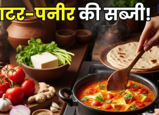 मटर के साथ नहीं… इस बार टमाटर के साथ बनाएं पनीर की सब्जी, स्वाद ऐसा कि उंगलियां चाटेंगे, सीखें बनाने का तरीका