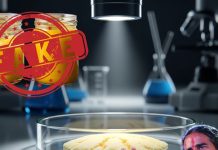 How to test Ghee Purity: Patanjali घी फेल टेस्ट में, असली और नकली घी की पहचान का तरीका जानें