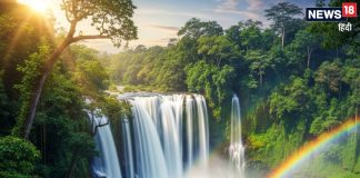 रहस्य, रोमांच और घने जंगलों का लेना है मजा? तो गोवा के इस ट्रैकिंग रूट पर पहुंचें, यादगार हो जाएंगे पल