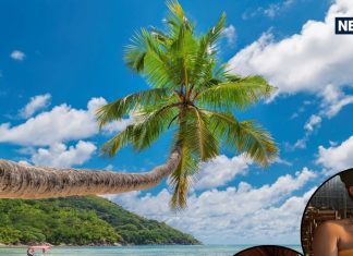 गोवा विंटर ट्रिप: प्रियंका चोपड़ा के फैमिली वेकेशन टिप्स