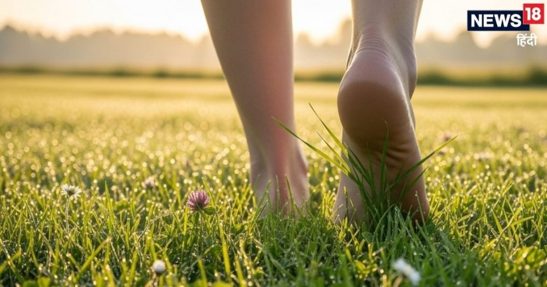 निरोगी काया के लिए मात्र 20 मिनट… जवानी में रोज करें यह आसान काम, बुढ़ापे तक टल जाएगा कई बीमारियों का जोखिम!