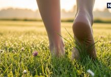 निरोगी काया के लिए मात्र 20 मिनट… जवानी में रोज करें यह आसान काम, बुढ़ापे तक टल जाएगा कई बीमारियों का जोखिम!