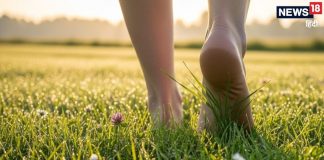 निरोगी काया के लिए मात्र 20 मिनट… जवानी में रोज करें यह आसान काम, बुढ़ापे तक टल जाएगा कई बीमारियों का जोखिम!