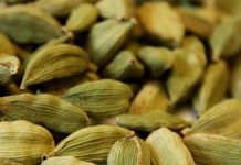 Chhoti elaichi khane ke fayde: छोटी इलायची खाने के फायदे और सेवन का सही तरीका