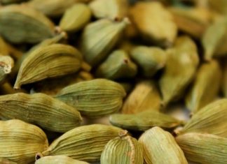 Chhoti elaichi khane ke fayde: छोटी इलायची खाने के फायदे और सेवन का सही तरीका