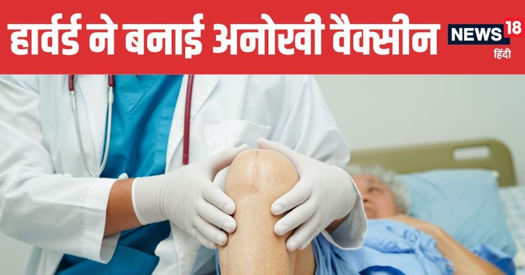 Harvard Develops New Vaccine to Prevent Infections After Knee and Hip Implants | हार्वर्ड ने बनाई नई वैक्सीन घुटने और हिप इम्प्लांट के बाद संक्रमण से मिलेगी सुरक्षा