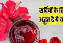 Gudhal ki chai peene ke fayde: ठंड में पिएं गुड़हल की चाय, बीपी, शुगर लेवल सब रहेगा कंट्रोल
