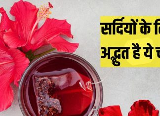Gudhal ki chai peene ke fayde: ठंड में पिएं गुड़हल की चाय, बीपी, शुगर लेवल सब रहेगा कंट्रोल