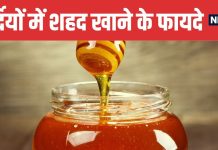 Amazing Benefits of Consuming Honey Everyday in Winter | सर्दियों में रोज 1 चम्मच शहद के फायदे
