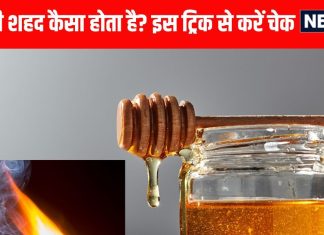 how to check purity of honey| शहद की शुद्धता पहचानने के आसान घरेलू तरीके जानें