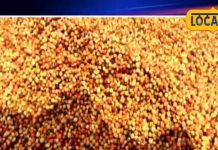 Rajasthani Chutney Recipe | Healthy Sour Sweet Fruit | Digestive Remedy Fruit | Chutney Benefits | Stomach Problem Relief | Natural Home Remedy