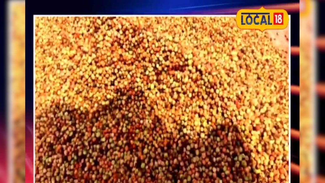 यह छोटा सा खट्टा-मीठा फल है पेट की समस्याओं का रामबाण, चटनी खाने से मिलेगी तुरंत राहत!