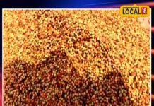 यह छोटा सा खट्टा-मीठा फल है पेट की समस्याओं का रामबाण, चटनी खाने से मिलेगी तुरंत राहत!