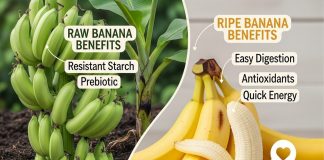 Ripe Vs Raw Banana : वजन कम करने के लिए कौन सा केला ज़्यादा फ़ायदेमंद है? पका हुआ या कच्चा?, एक्सपर्ट्स से जानें सही जवाब!