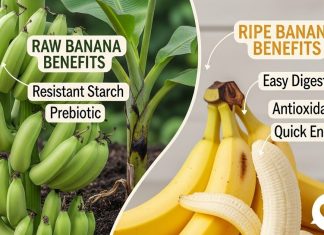 Ripe Vs Raw Banana : वजन कम करने के लिए कौन सा केला ज़्यादा फ़ायदेमंद है? पका हुआ या कच्चा?, एक्सपर्ट्स से जानें सही जवाब!