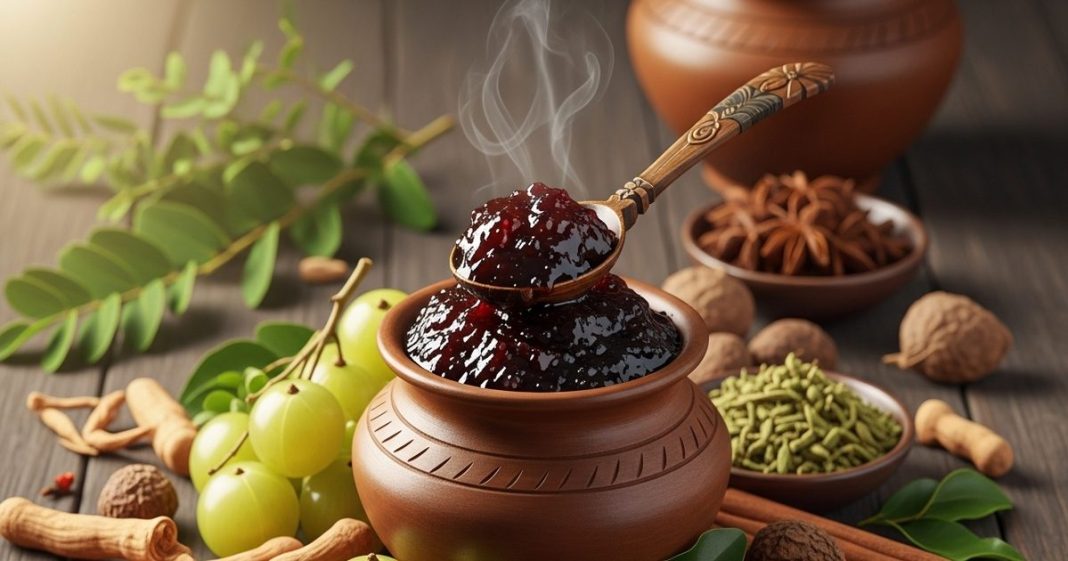 chyawanprash recipe: च्यवनप्राश बनाने की आसान आयुर्वेदिक रेसिपी और फायदे जानें.