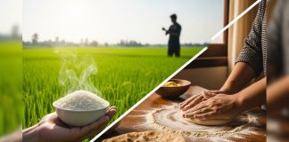 क्या चावल खाने से बढ़ता है शुगर? रोटी खाने से होता है कम…ये गलती ले लेगी जान! – Bharat.one हिंदी