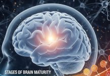 Brain Adolescence lasts into 30s| 30 साल तक किशोरावस्था में रहता है आपका दिमाग