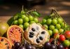 Forgotten Indian fruits। भारत के कम जाने-पहचाने फल