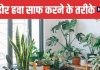 5 Natural Ways to Purify Indoor Air Without an Air Purifier | बिना एयर प्यूरिफायर के घर की हवा को शुद्ध करने के 5 आसान उपाय