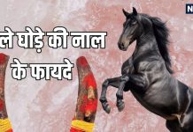 kale ghode ki naal ghar par lagane ke fayde | kale ghode ki naal ki anguthi pahnane ke fayde | घर पर काले घोड़े की नाल लगाने और उसके छल्ले पहनने के फायदे